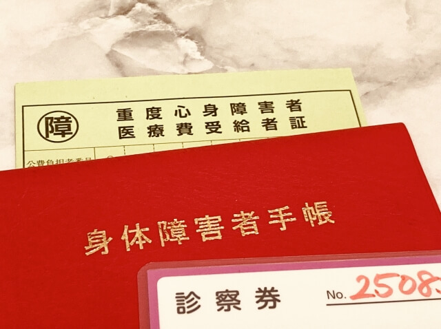 関西のネットワークを活かす｜同行援護×地域リソースの相乗効果
